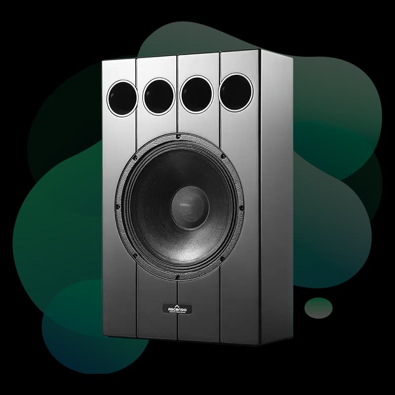 Ascendo THE12 Passive On Wall speaker front view