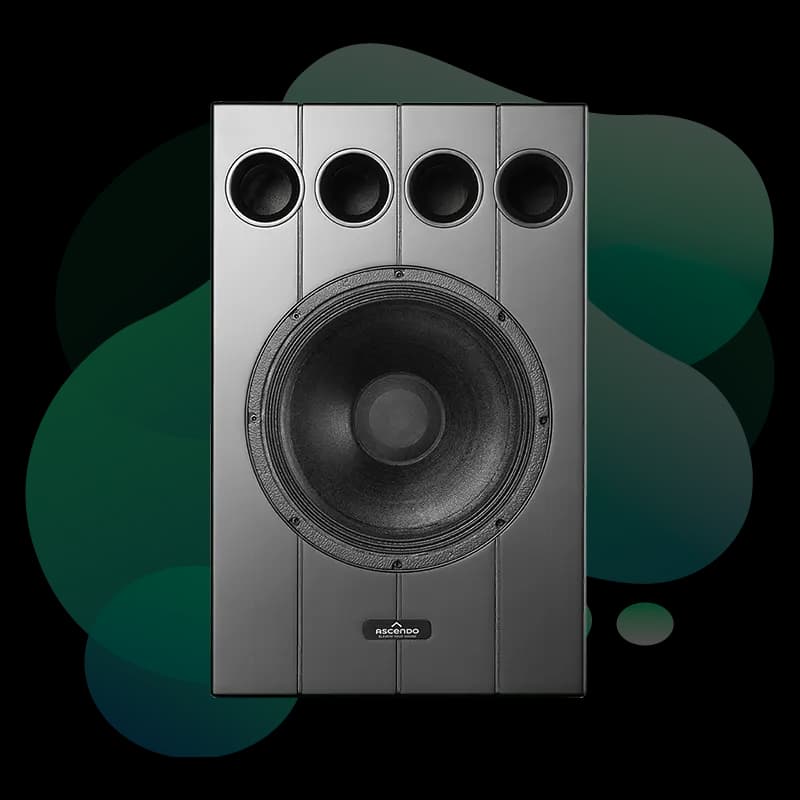 Ascendo THE12 Passive On Wall speaker angled view